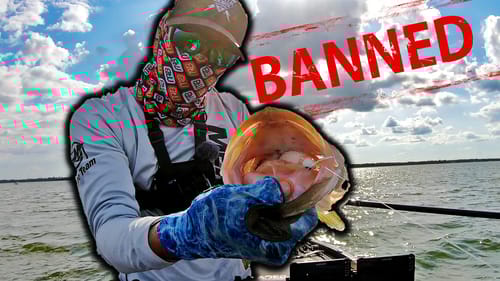 BANNED? ~ Does LIVE Sonar CHANGE Bass FISHING for Good?!?!
