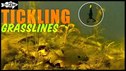 How to Dissect Deep Grasslines for Summer Bass