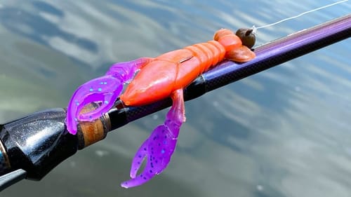 Soft Plastics | One Day Build to Catch