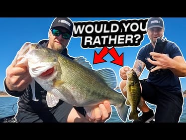 Big Bass vs. Numbers: Would You Rather Catch One Giant or Tons of Fish?