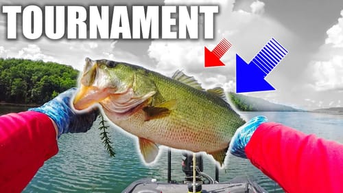 WINNING $2K at a Fishing Tournament!?!? (Techniques + Tackle Shop Walk Thru)