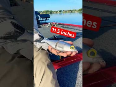 The BIGGEST Bait I’ve Ever Casted