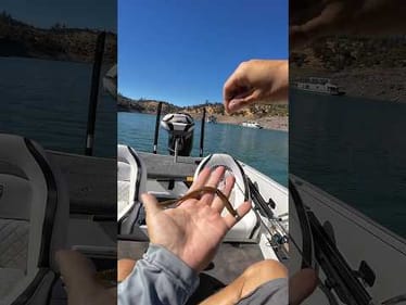Dialed in the perfect o-ring for finesse worms 🎯 + Bass Union Neko Weights 🔥