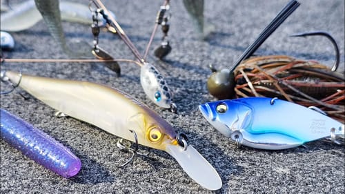 Where Do Bass Go In The Heart Of Winter? ( Ponds, Lakes, Reservoirs )