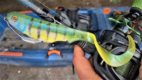 Ribbon Tail SwimBait | Inject + Pour to Catch