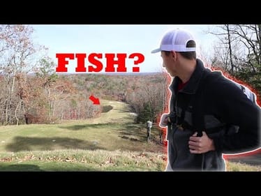 Are there FISH in here?