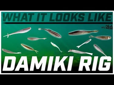An UNDERWATER Look at What Your Damiki Rig Is Doing