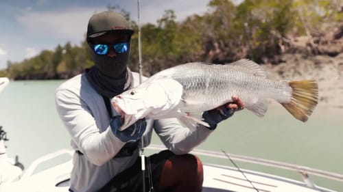 Wild Saltwater Crocodiles & Wild Barramundi   Risk It for the Biscuit Part 13