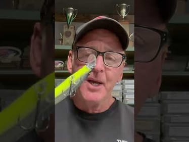 Jerkbait Belly Colors