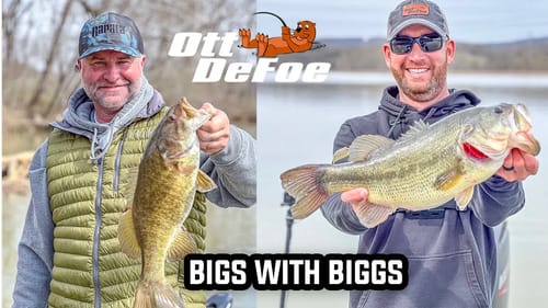 Bigs With Biggs!