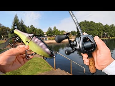 Fishing GIANT Swim baits For BIG URBAN BASS! (Pond Hopping)