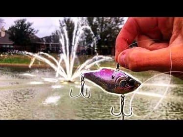 CRAZY MYSTERY FISH IN FOUNTAIN POND!!!