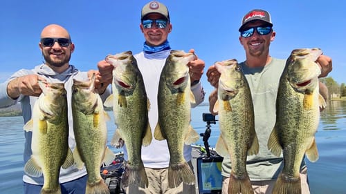 Catching TONS OF BIG LARGEMOUTH BASS On Lake Guntersville!