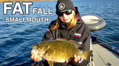 Look How FAT This FISH Is!!