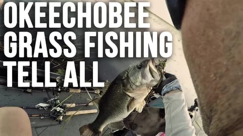Lake Okeechobee Hayfield Bass Tips and Techniques Swamp Fishing!