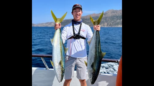 I Catch my PB Yellowtail!! (Pursuit Sportfishing 22nd St Landing)