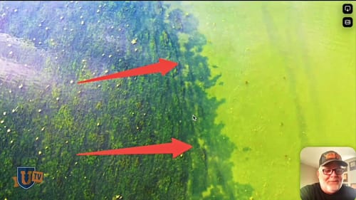 I Found GIANT BASS in This THICK Grassy MESS