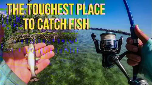 Fishing Deep Saves the Day When it's Brutally Hot