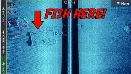 The PROS Don't Want You To Know These Side Imaging SECRETS!