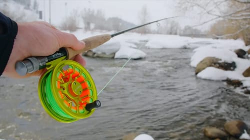 I Traveled 1000 MILES for This FISH!!!