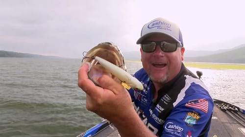 2019 Bassmaster Elite Series - Winning Ways 3
