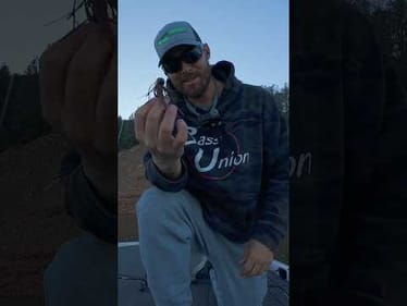 I Like To Catch ‘Em On Jigs… So that’s What I’m Going To Do ✌️ #bassunion #bassunionjigs