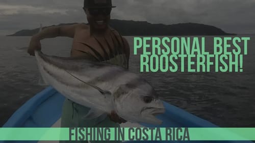 Pura Vida Personal Best Rooster Fish in Costa Rica Part 4