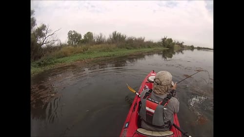Fall Bass Fishing with Topwater Frogs