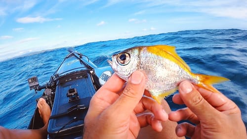 This Trash Bait Catches Monsters! - Surprise Morning, Ocean Kayak Fishing