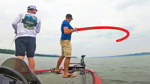 Catching BIG BASS on TOPWATER FROGS on Lake Guntersville!