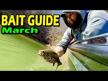 The ABSOLUTE BEST Baits to Catch BIG Bass RIGHT NOW