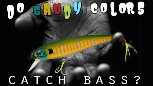 Natural or Bright Color Lures for Bass Fishing?