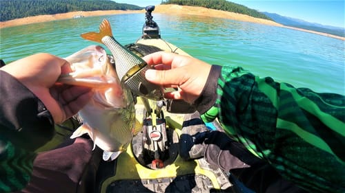 Fishing 1 of California's Best Bass Fisheries
