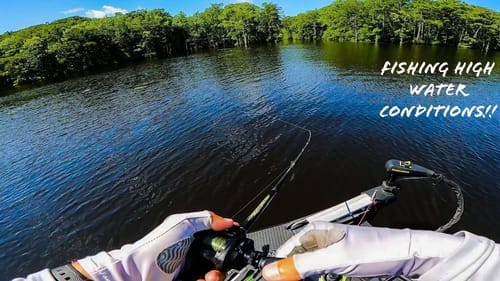 Throwing TOPWATER For BASS on a FLOODED River ||  IT WAS HOT!!!!