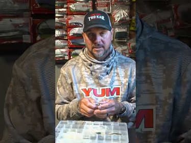 My #1 Pick for the Jig Head Minnow!