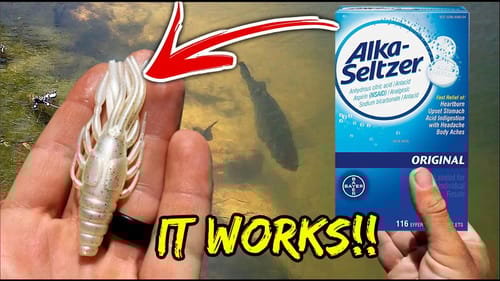 SECRET Bed Fishing Trick is the ONLY Way I was able to Fool this GIANT Bass!
