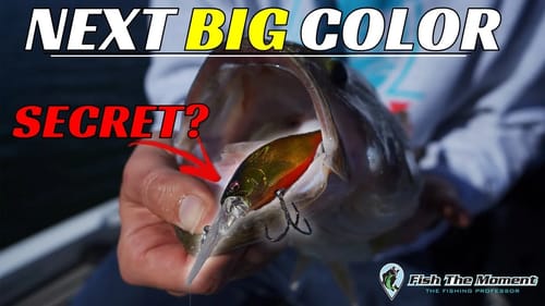 This Crankbait Color May Have Flown Under the Radar for YEARS