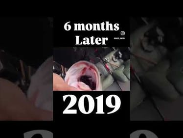 Went all in on fishing. Built momentum through the years. Big wins came and went. Still here.