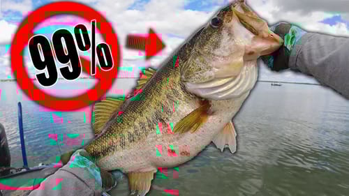 41lbs on 5 Fish ~ This will NEVER Happen to 99% of Fishermen