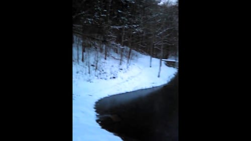 Cold and snowy at the Off Grid Cabin
