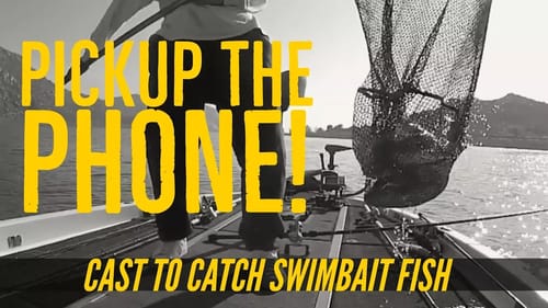 How to Catch A Swimbait Fish on the Phone - Big Bass Dreams Reality Check Volume 3