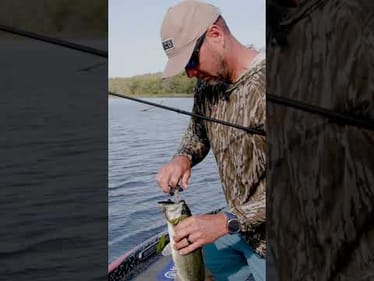 Running Bait into the GRASS (Fall Topwater Fishing)