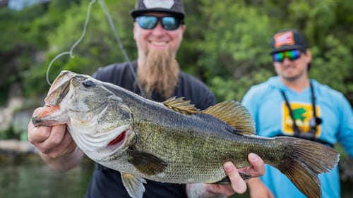 Milliken & Coleslaw Invade The ATX! NEW Glide Bait & Jointed Swimbaits on Local Big Fish Honey Hole!