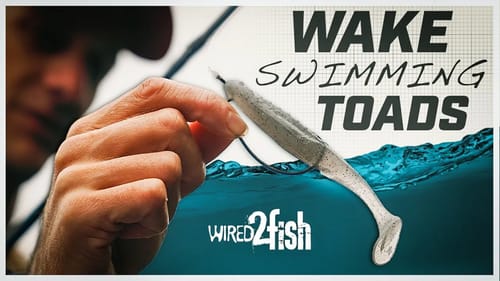 Wake Bait Fishing Paddle Tail Toads with Brandon Cobb