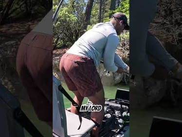 JUMBO Spotted bass on a spinnerbait #fishing #bassfishing #fish