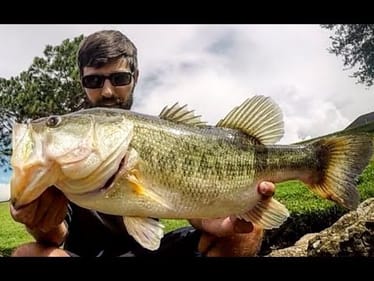 GIANT BASS caught on FIRST CAST with NEW REEL!