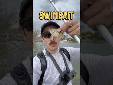 Can we catch a fish on this swimbait in only 10 cast? #fishing
