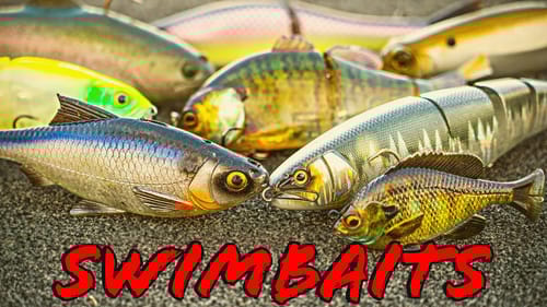 Buyer's Guide: Swimbaits and Glide Baits!