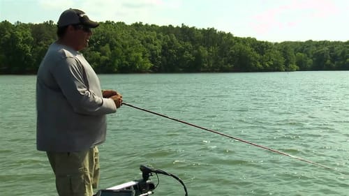 Fishing Spinnerbaits Deep for Bass