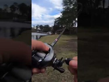 I caught my NEW PB BASS! (Giant!) #shorts